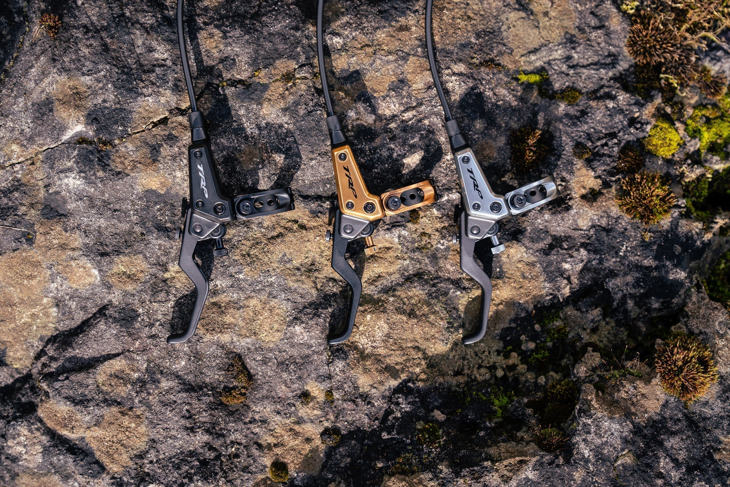 Introducing The EVO Family
