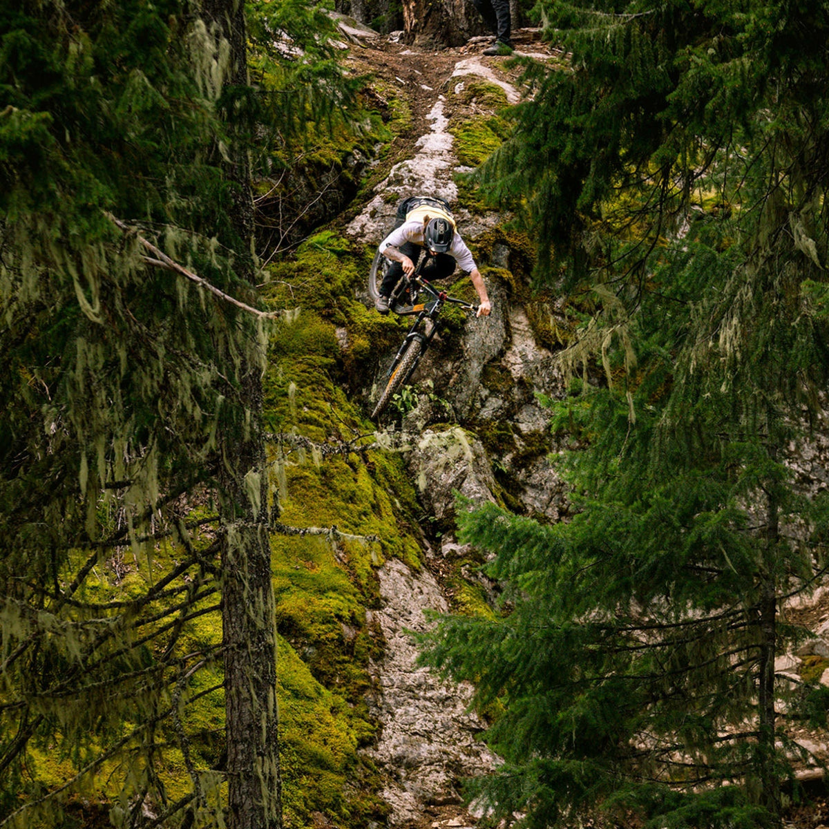 A mountain biker navigates a rocky, moss-covered forest trail surrounded by tall evergreen trees.