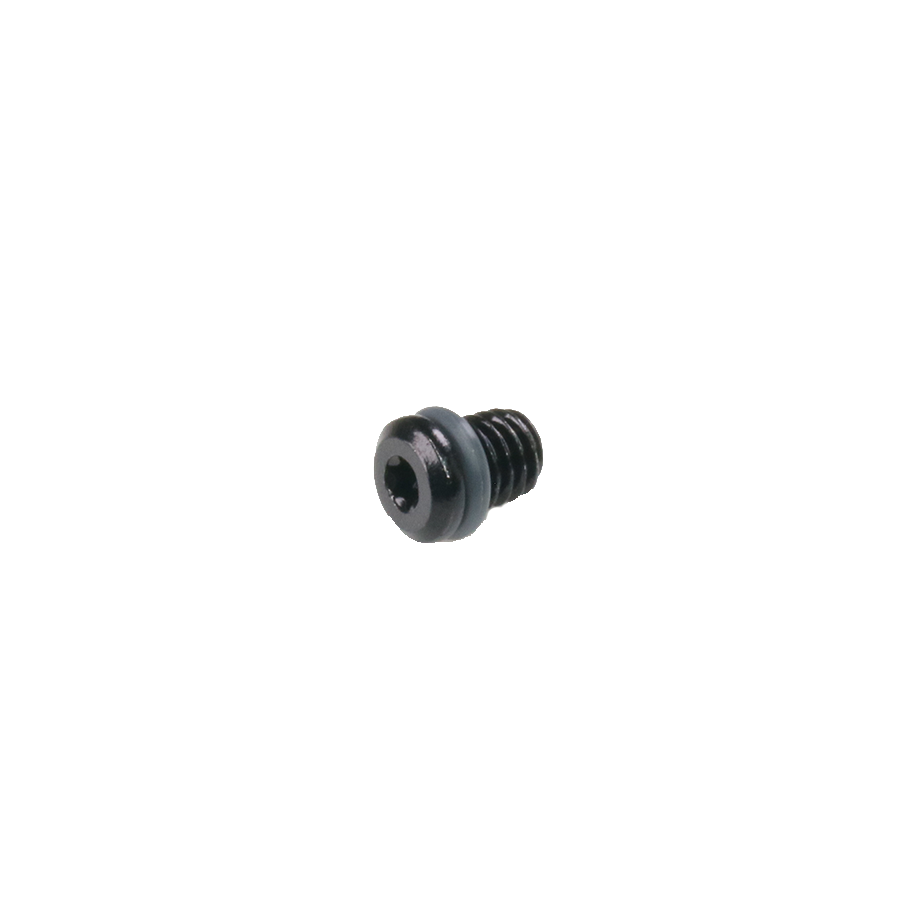 Black screw on a white background