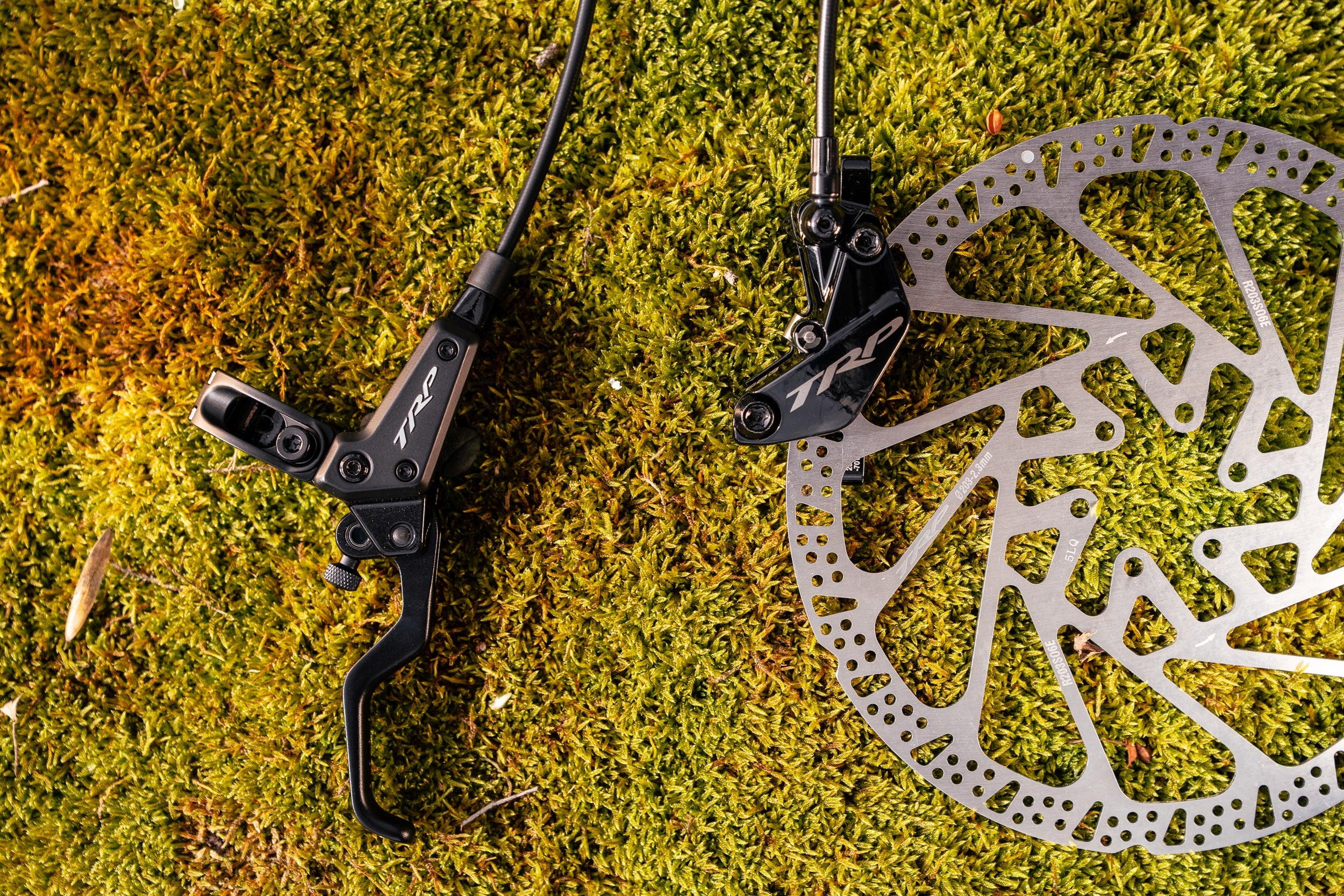Bicycle brake lever and disc rotor on a mossy surface